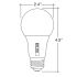 A21 15W 5CCT Dimmable LED Bulb-ENV