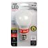 12V A19 10.6W LED Bulb 3000K-FT