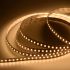 7.7W/ft 24V High Lumen LED Strip-JIN