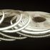 4.5W/ft RGBW COB Spotless True White 4 in 1 LED Strip 16'-JIN