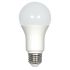 A19 9.8W LED Bulb-SAT
