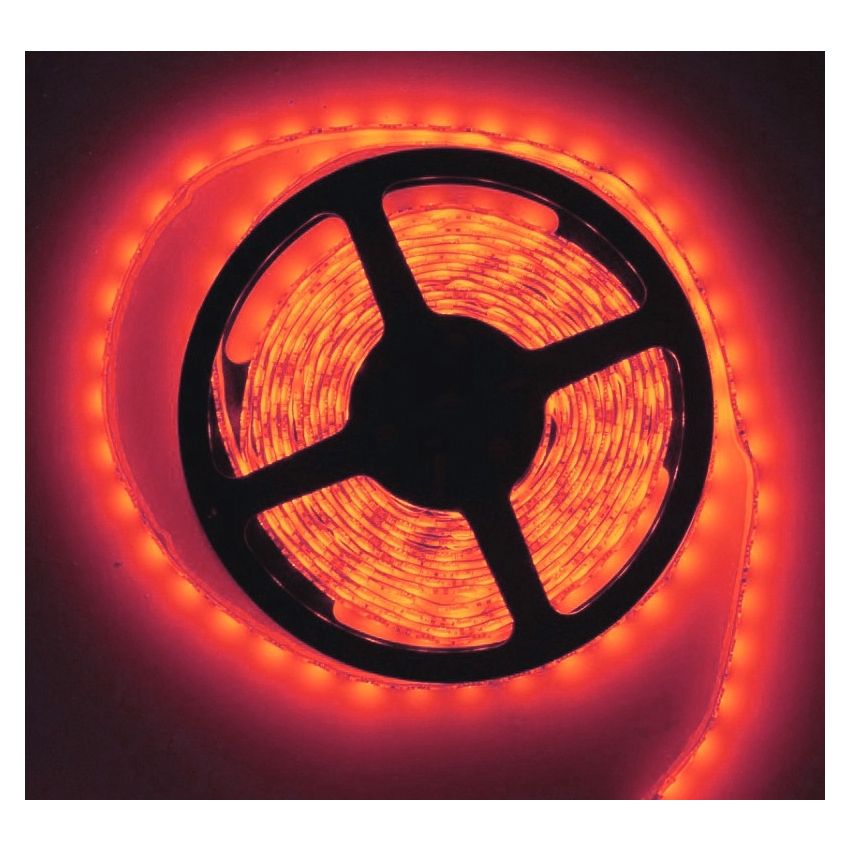 4.5W/ft 12V UL Color Economic LED Strip