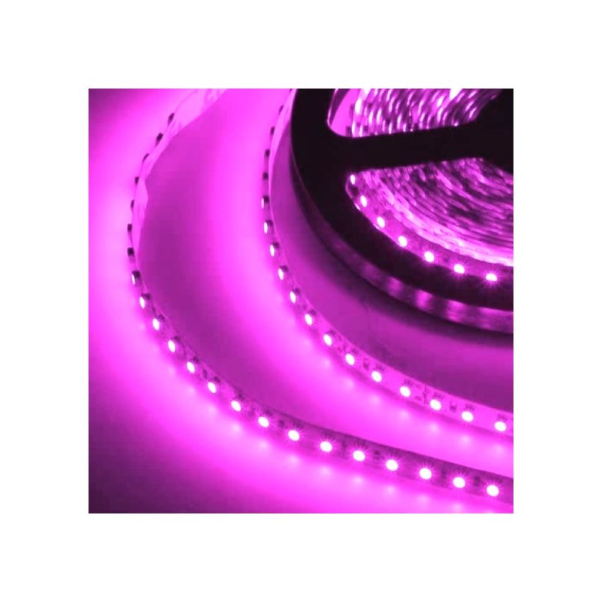 3W/ft Color UL LED Strip SMD3528 120/m 16'-RCH