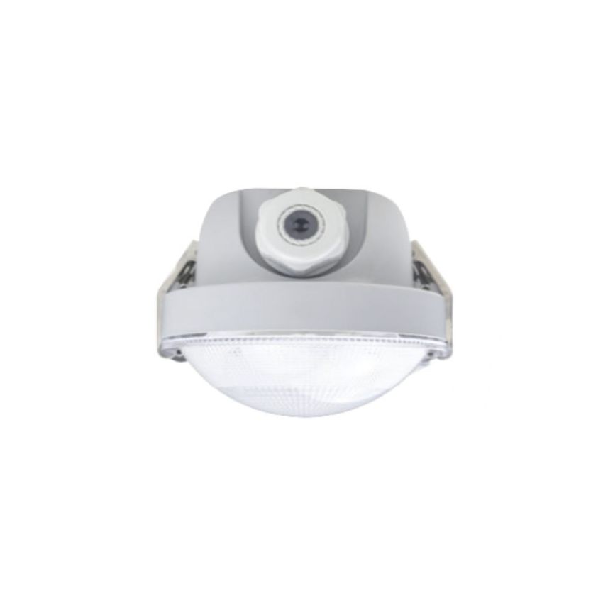 2' 20W Tri-Color LED Vapor Light-ENV