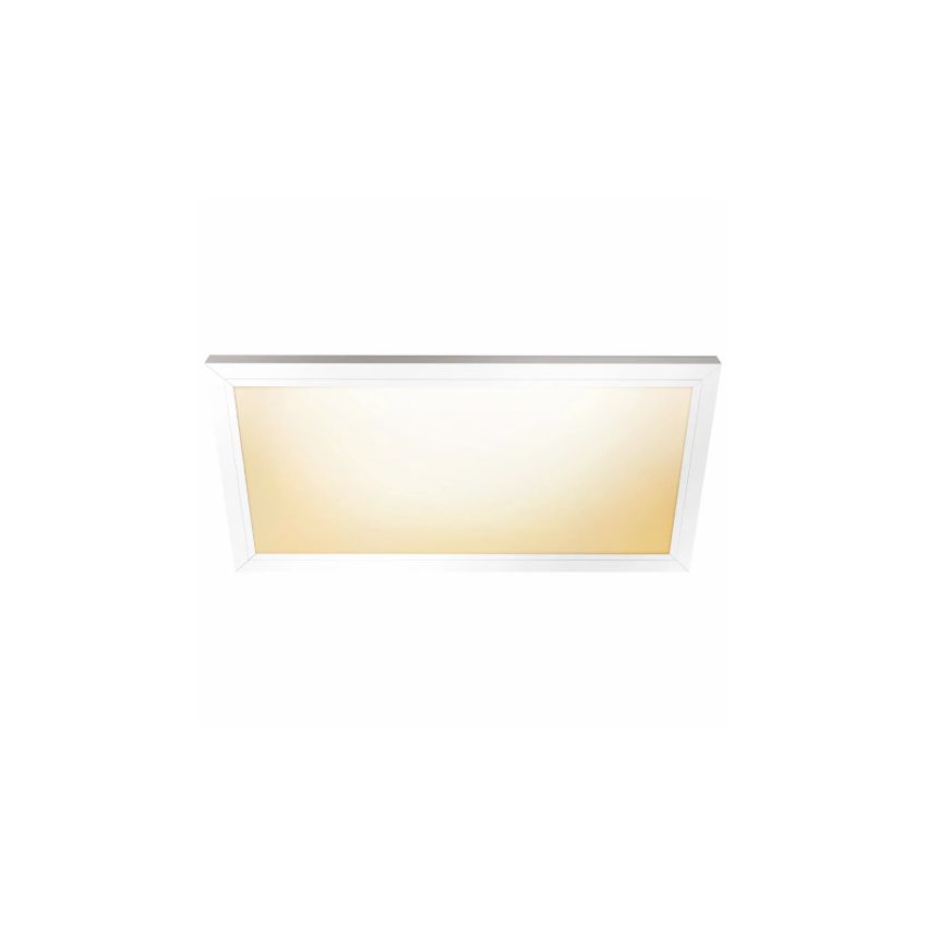 25W 1' x 2' 5-Color Panel Light-FT
