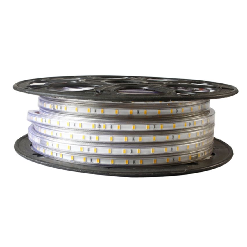 2W/ft 120V ETL Dimmable LED Strip SMD3014 164'-RCH