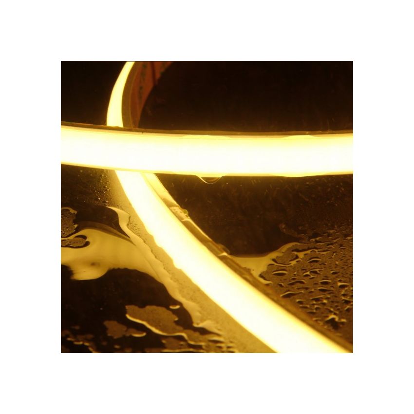 2W/ft Neon Long Run LED Strips 294/m 16'-RCH