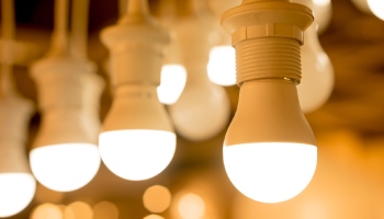 LED Bulbs