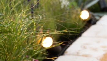 Landscape Lights